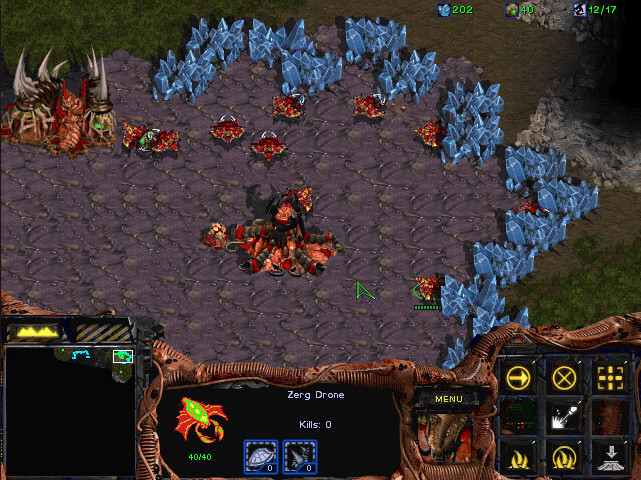 Free PC Games - Starcraft Zerg